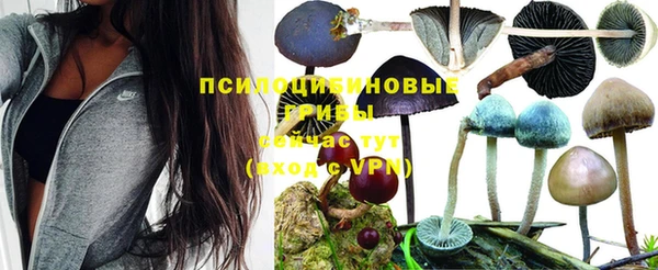 МДМА Каменногорск