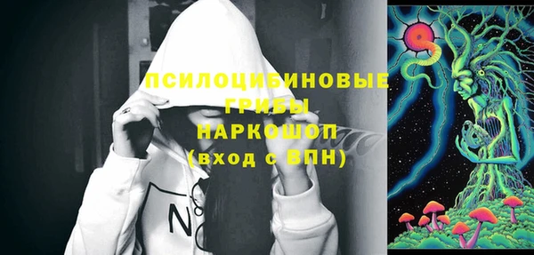 прущие грибы Абдулино